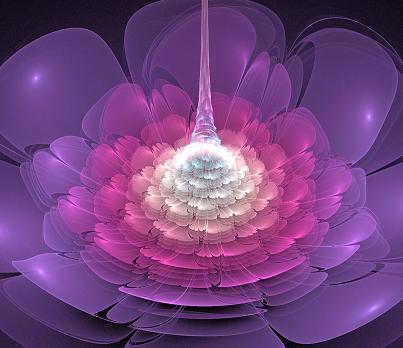 apophysis_fractal_flower_by_sophiefzy-d4p1im6