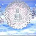 ascension_buddha-1