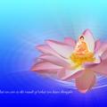 buddha_on_lotus_by_hanciong-d3cc8bb